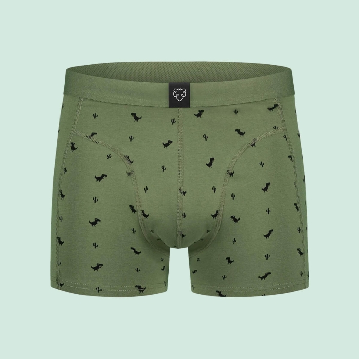 ADAM 8BIT DINO BOXER BRIEFS ASSORTED XL